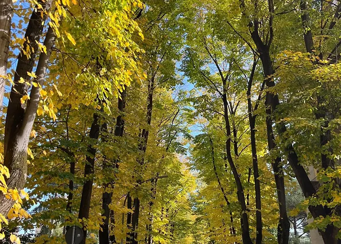 Casacoco Con Posto Auto E 2 Bagni Roma